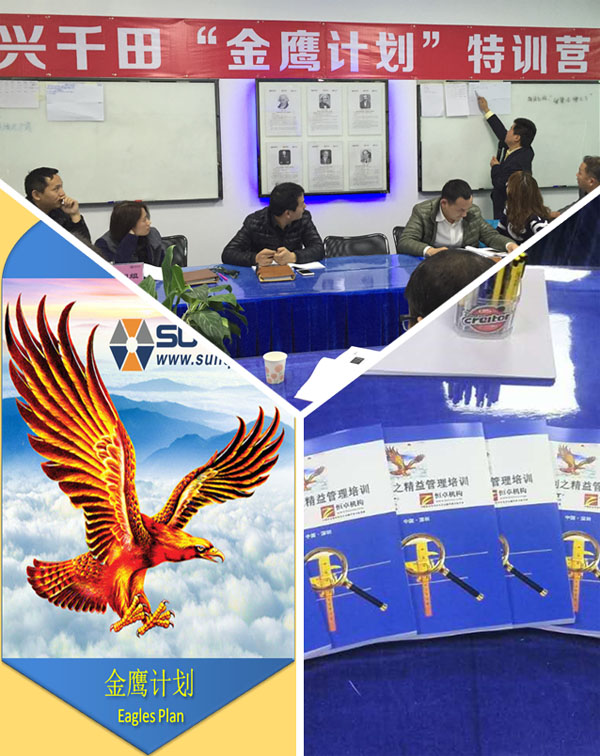 兴千田金鹰计划 兴千田金鹰计划