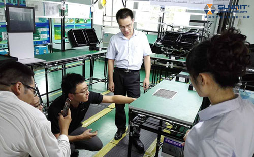 公牛参观兴千田 公牛参观兴千田