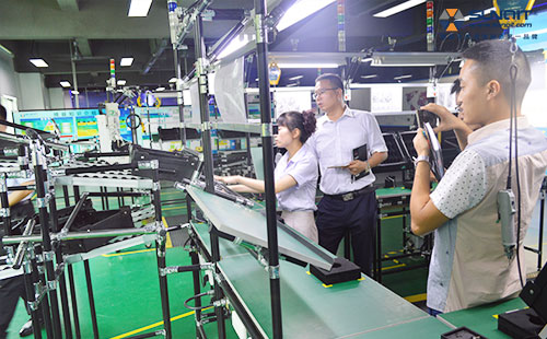 公牛参观兴千田 公牛参观兴千田