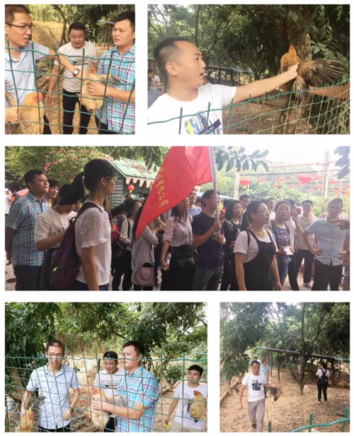 【户外拓展】兴千田九龙山欢乐一日游 【户外拓展】兴千田九龙山欢乐一日游