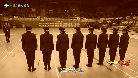 创业是一条无比艰辛的路,创新更是无限风光在险峰。在男性为主导的商海里,女性创业创新需要鼓足十万分的勇气和力量,是挑战未来成功的小概率事件。而十堰姑娘杨丽便是这小概率事件中的一个传奇,也是女性创业创新的榜样。今天就来认识这位传奇女性-2025澳网门票官方网站杨丽。 创业是一条无比艰辛的路,创新更是无限风光在险峰。在男性为主导的商海里,女性创业创新需要鼓足十万分的勇气和力量,是挑战未来成功的小概率事件。而十堰姑娘杨丽便是这小概率事件中的一个传奇,也是女性创业创新的榜样。今天就来认识这位传奇女性-2025澳网门票官方网站杨丽。