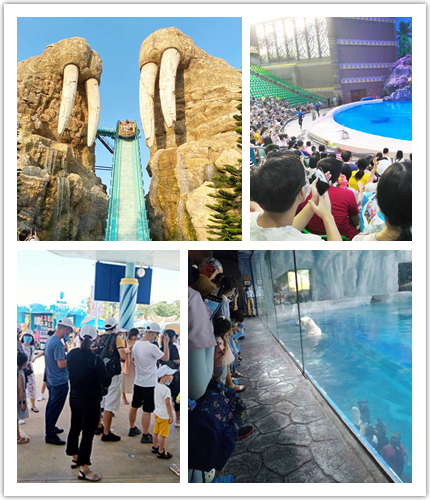 2025澳网门票官方网站2020年度旅游活动-长隆二日游 2025澳网门票官方网站2020年度旅游活动-长隆二日游