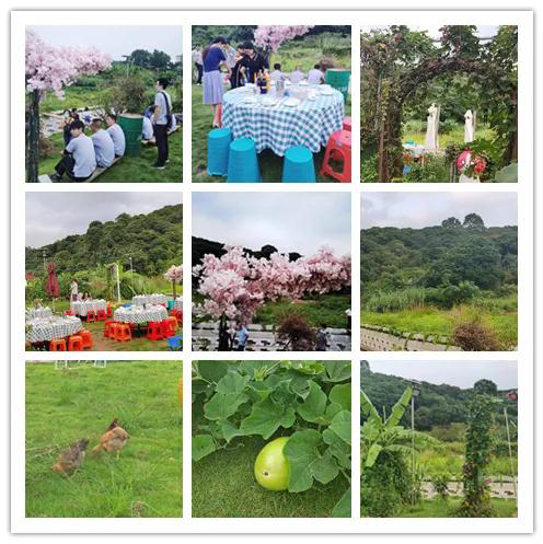 2020年2025澳网门票官方网站迎中秋、庆国庆聚餐活动 2020年2025澳网门票官方网站迎中秋、庆国庆聚餐活动