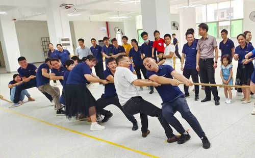 拔河比赛B组 拔河比赛B组