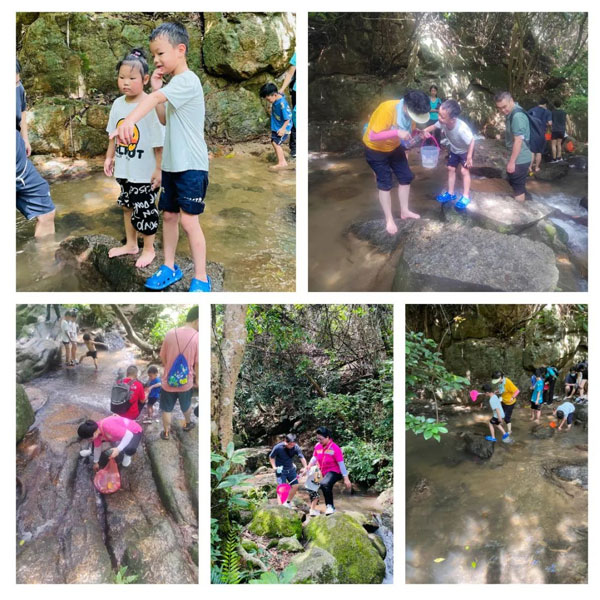 阳台山爱护环境公益活动 阳台山爱护环境公益活动