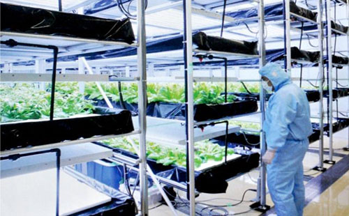 精益管可以做大棚管吗? 精益管可以做大棚管吗?