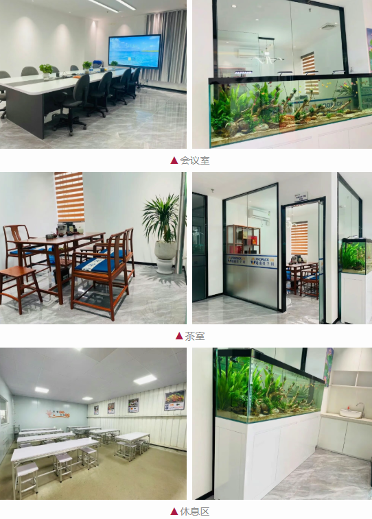 越南兴千田办公空间焕新升级3